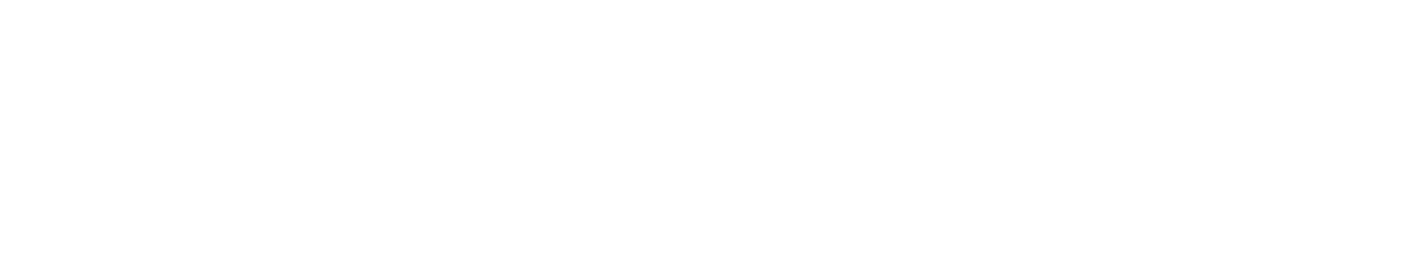 Mercury Marine — Authorised Service & Sales