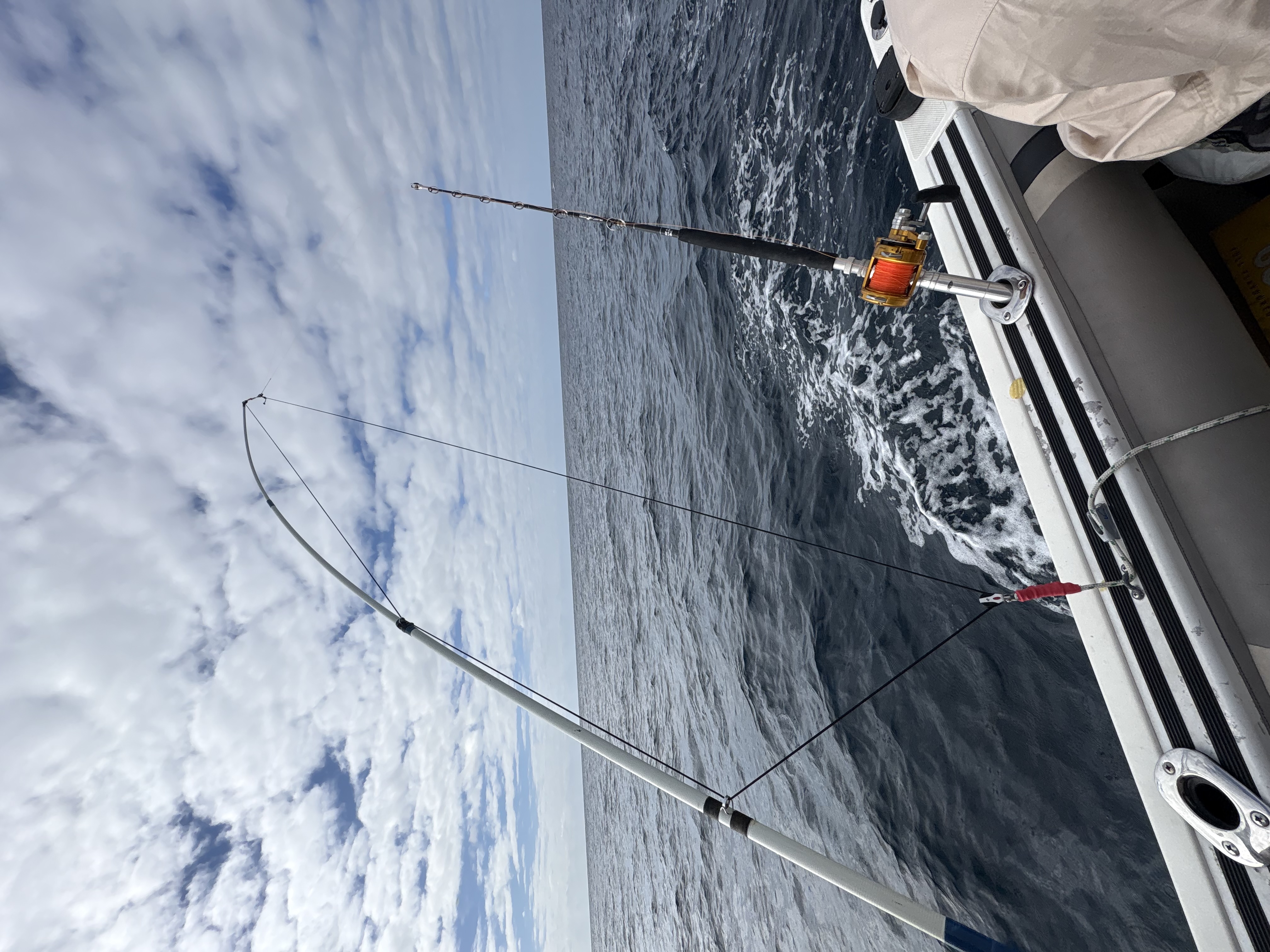Fishing rod on the ocean